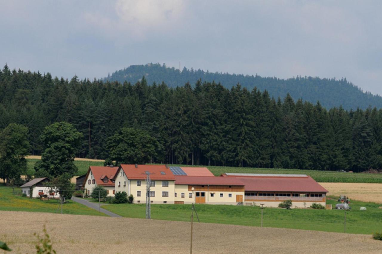 Ferienwohnung Burgerhof Pullenreuth Extérieur photo